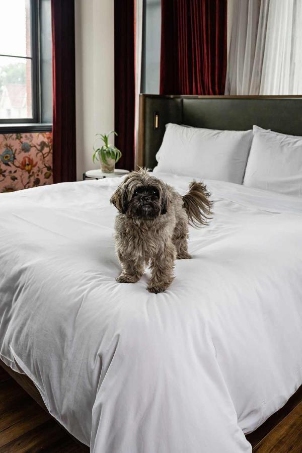 The Broadview Hotel Toronto Exterior foto